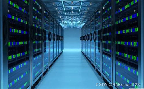 浅析美国Raksmart服务器几种常见文件系统及其数据处理与存储支持服务